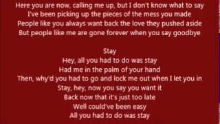 Taylor Swift - All You Had To Do Was Stay (lyrics)