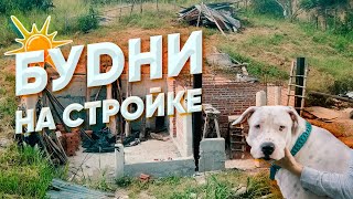 ТРУДОВЫЕ БУДНИ | Соседи, планы, собака на пляже