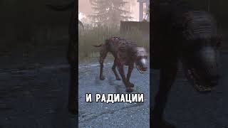 Самая сложная Карта в #dayz #stalkerrp