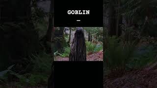 Low budget horror film 🎥🍿📺 #goblin#goblins