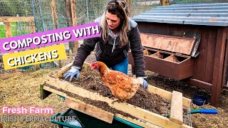 Fast composting: Our chicken composting system