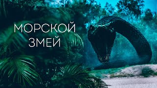 ОСТРОВ СМЕРТИ! ГИГАНТСКИЙ ПИТОН ПРОТИВ ОХОТНИКОВ ЗА СОКРОВИЩАМИ! Морской змей. Зарубежный боевик