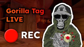 Gorilla Tag LIVE 🔴