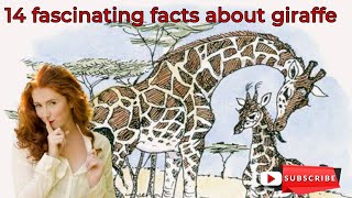 14 fascinating facts about giraffe #wildanimal #wildlife #bbc #animalplanet #nationalgeography