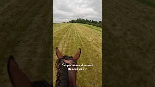 Galoper comme si on avait plusieurs vies 🚀 #cheval #galop #equitation #pursang #vitesse #cavalier