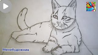 КАК НАРИСОВАТЬ КОШКУ.РИСУЕМ КОШКУ КАРАНДАШОМ.