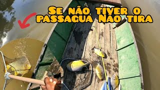 pescaria de CARANHA e PIRANHA- tem que ter força no braço