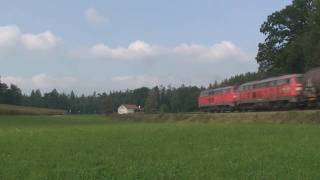 Germany  - Rabbits on freight in southern Germany on September 18, 2009