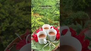 Ak cup chai hate pata jhara bristi #shorts #viral #reels #tea