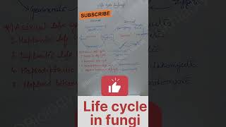 #lifecycle#fungi#cuetpg#cuet#cuet2024#shorts