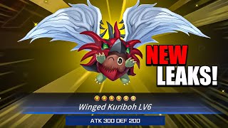 NEW MASTER DUEL ANIMATIONS LEAKS - Winged Kuriboh LV6 - El Shaddoll Winda - Junk Warrior!