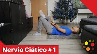 Ejercicios BÁSICOS para disminuir el dolor del Nervio Ciático - Entrenador Wellness