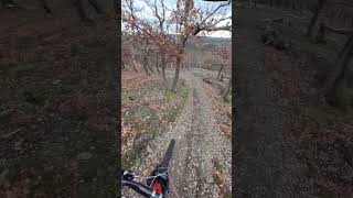 Autumn enduro 2 #mtb #enduro #trekbikes #ebike #trekrail #autumn #bosch #insta360go3