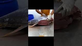 CRAZY giant tuna cutting show from Aceh Indonesia