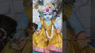 Sanvare Shyam#krishu #newtrend #trendingshorts #ladduu #viralvideo