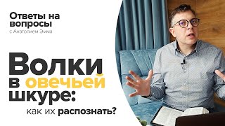 Волки в овечьей шкуре: как их распознать?