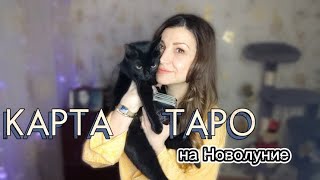 ТАРО КАРТА на НОВОЛУНИЕ в Водолее 10.02.2024. Для всех знаков зодиака 🔥 Vera Astrolog