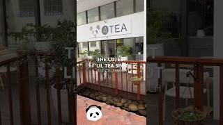 How cute is this tea spot? 🐼🧋 #boba #bubbletea #shorts