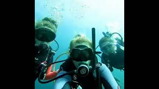 3 scuba diving females waving underwater