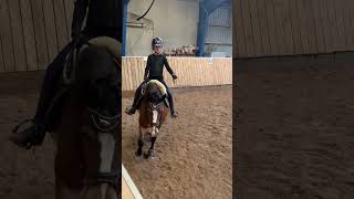 Little trot without one hand #pony #shortvideo #horse #trot