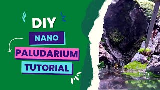 Nano Paludarium with Seiryu stone and Moss