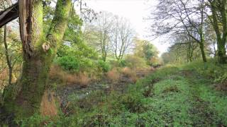 Lochwinnoch in the Autumn 2010.mov