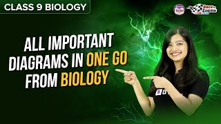 All Important Diagrams in One Go | Class 9 CBSE Science