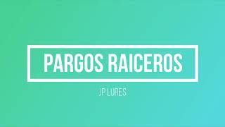 PARGOS RAICEROS CON JP LURES