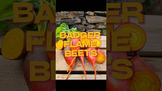 What's a Badger Flame Beet? #organicfarming #georgia #beets