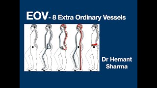 Session 2 #Extra #Ordinary Vessels - Treating any Area Quickly by #8 master #Acupuncture point