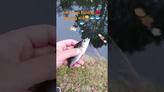 Perch fishing after work uk, like and fallow ❤️🐟❤️