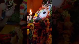 Jai jagannath ll Malika bachana ll Jai shree Ram #song #music #smkrishna #mahalingam #ayyappaswamy