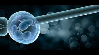 in vitro fertilization ..The advantages and disadvantages