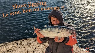 Shore jigging Marseille [Live strike] - Les meilleurs conditions pour le Jig du bord ?