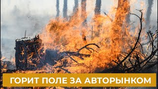 Пожар за авторынком — горит сухая трава на поле