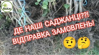 ДЕ НАШІ САДЖАНЦІ???!!! Відправка замовлень!!!