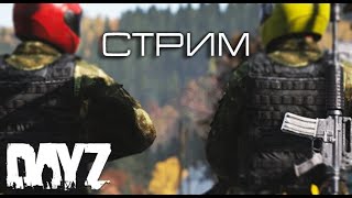 На пару сырников чисто #DayZ