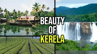 The beauty of Kerela- Mesmerizing scenes of Kerela, India