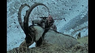 turgay sulu kayseri teke avı extreme anatolian bezoar ibex hunt long distance shoot 807 meters