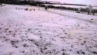 horse riding in the snow