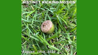 Distinct Kicking Motion - August 18th (Full EP Stream)