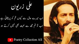 Ali Zaryoon / Poerty / Ghazal / Poerty collection as