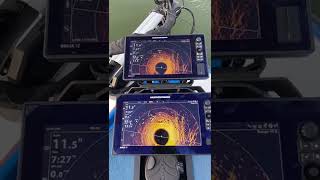 Humminbird MEGA 360 SOLIX-APEX Comparison from Chad "Big Fish" Phillips! Waypoint overlay BONUS!