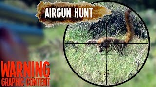 Kudamundi Hunt with 45 Caliber Airgun