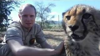 Travis Goes to Africa: Travis and the Cheetahs' Den