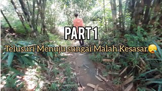 Misi Pencarian Sungai Ditengah Kebun Nanas Sampai Tersesat PART 1