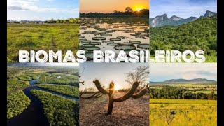 Biomas do Brasil