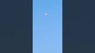 moon in morning sky #shorts