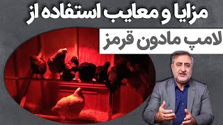 مزایا و معایب استفاده از لامپ مادون قرمز