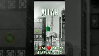 12 Rabi Ul Awal Whatsapp  Eid Milad Ul Nabi Whatsapp Status